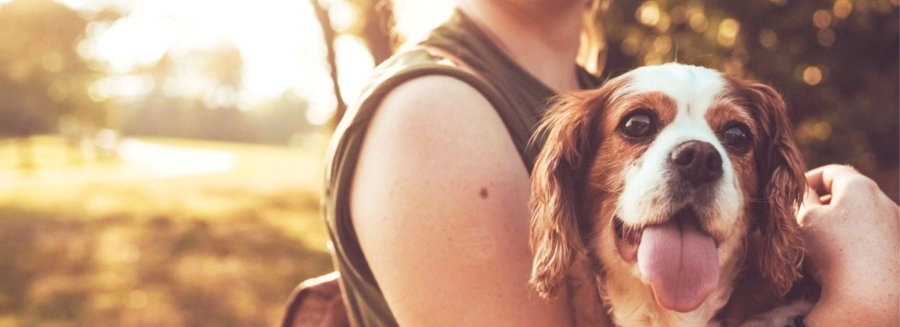 2 Bedroom Property for Sale in Somerset Lakes Western Cape